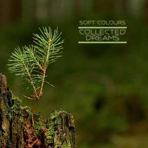 3dmax怪物视频无尽
