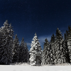 3dmax怪物视频无尽
