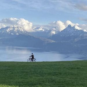 3dmax怪物视频无尽
