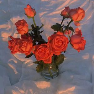 3dmax怪物视频无尽
